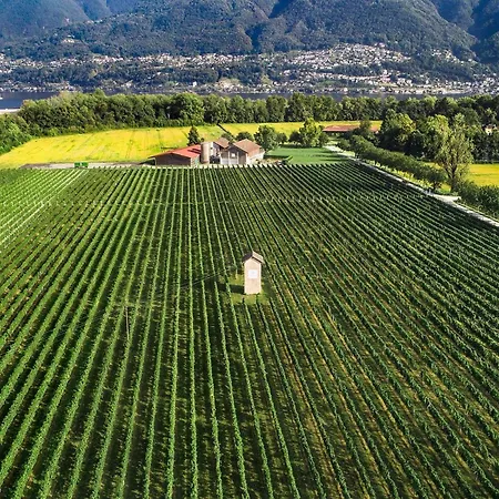 La Quercia By Fewotessin * 阿斯科纳