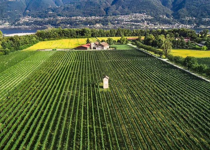 La Quercia By Fewotessin * أسكونا