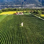 La Quercia By Fewotessin * Ασκόνα